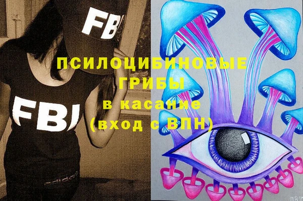 a pvp Абаза