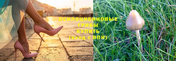 прущая мука Алзамай