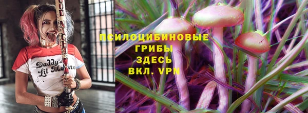 дживик Покров