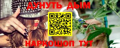 a pvp Гатчина