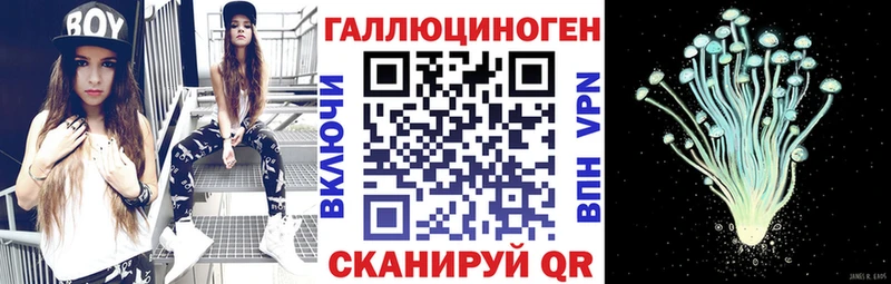 Псилоцибиновые грибы прущие грибы  нарко площадка какой сайт  Миллерово 