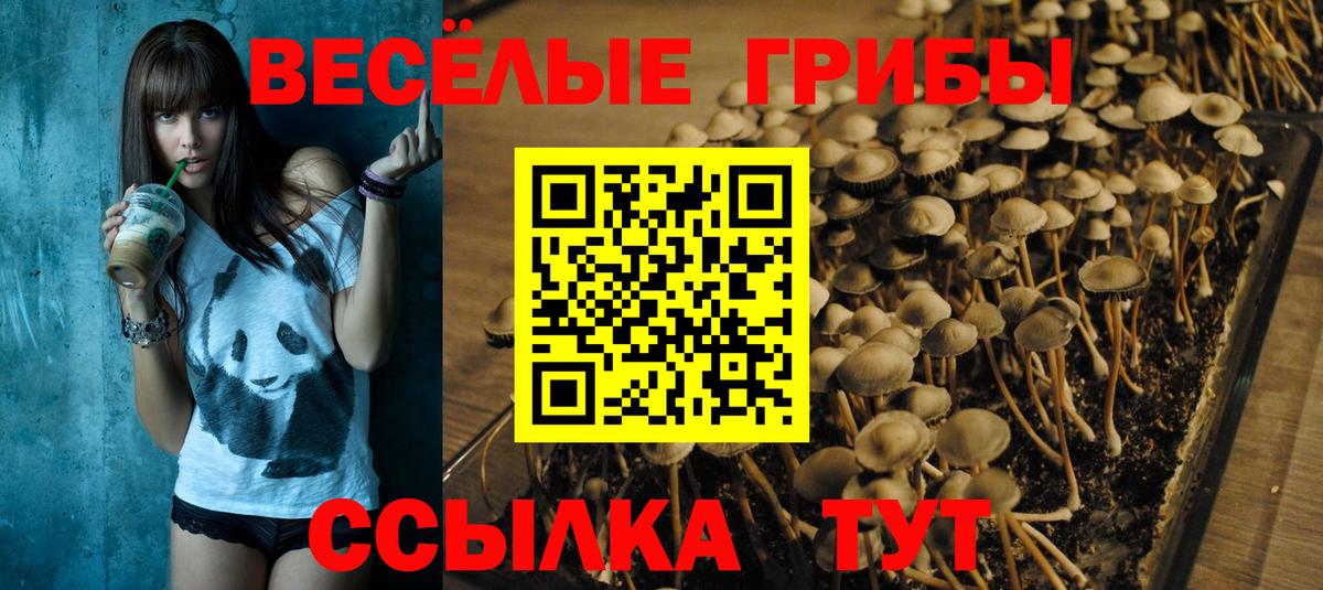 Галлюциногенные грибы Cubensis Миллерово